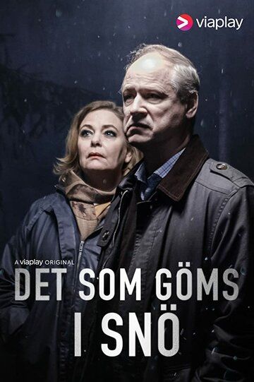 Что спрятано в снегу 1,2 сезон (2018)