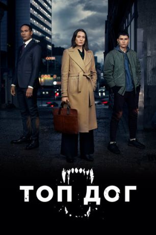Топ дог 1 сезон (2020)